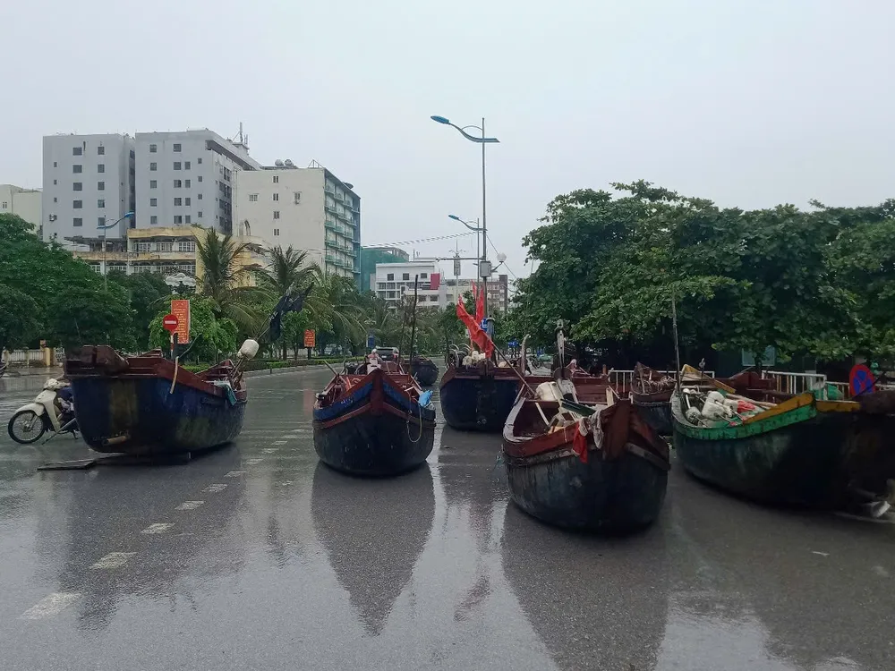 Ngư dân Hà Tĩnh, Thanh Hóa khẩn trương triển khai các biện pháp ứng phó với bão số 3 ảnh 14