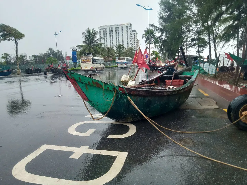 Ngư dân Hà Tĩnh, Thanh Hóa khẩn trương triển khai các biện pháp ứng phó với bão số 3 ảnh 20
