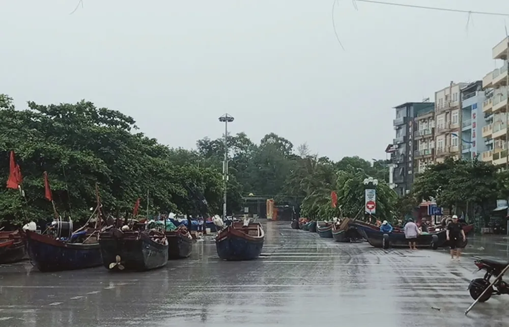 Ngư dân Hà Tĩnh, Thanh Hóa khẩn trương triển khai các biện pháp ứng phó với bão số 3 ảnh 17