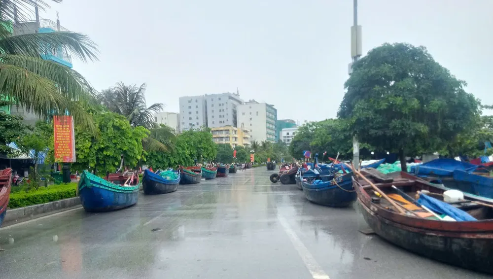 Ngư dân Hà Tĩnh, Thanh Hóa khẩn trương triển khai các biện pháp ứng phó với bão số 3 ảnh 18