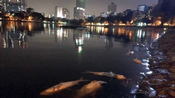 棟多湖死亡魚類（圖片來源：范芳）
