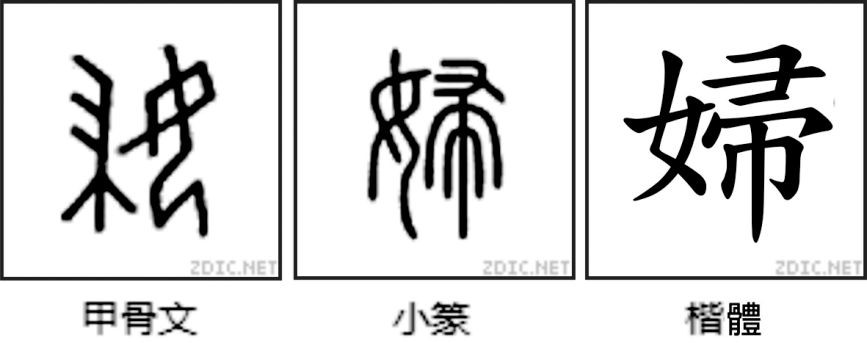說文解字『婦』 ảnh 1