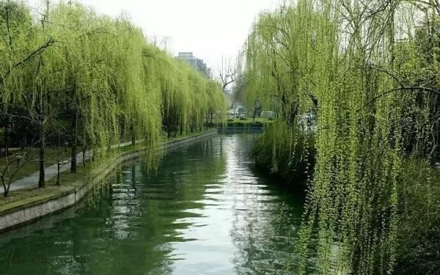 示意圖。（圖片來源：互聯網）