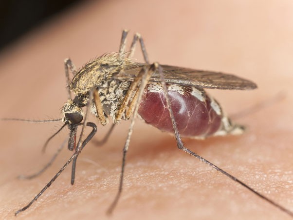 示意圖。（圖片來源：互聯網）