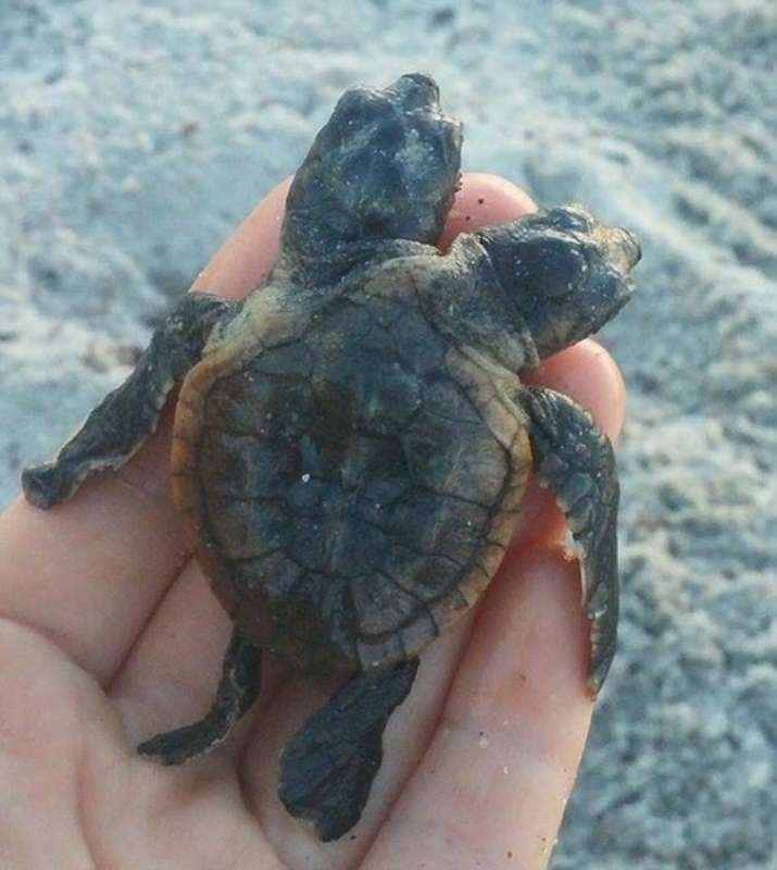 （資料圖源：互聯網）