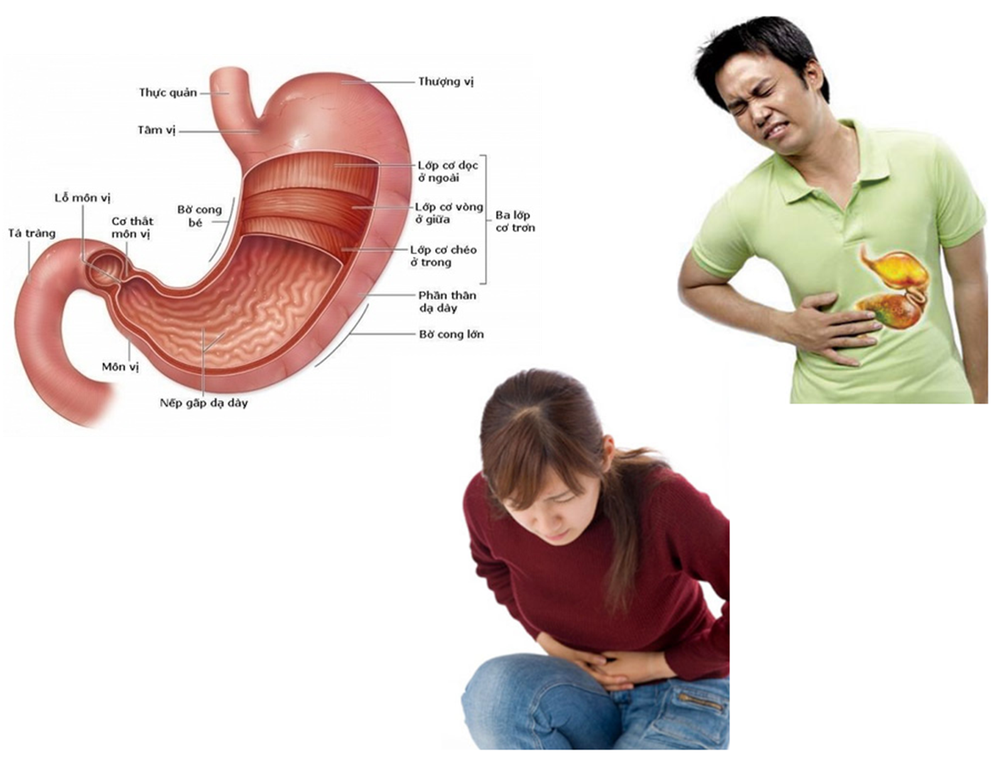 一個人吃飯容易得胃病。
