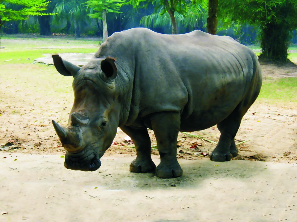 吉仙國家公園 ảnh 2