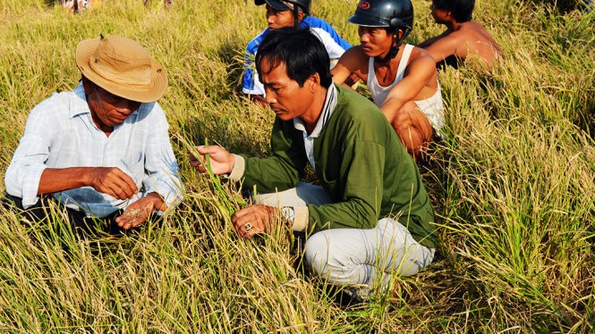 （圖源：互聯網。）