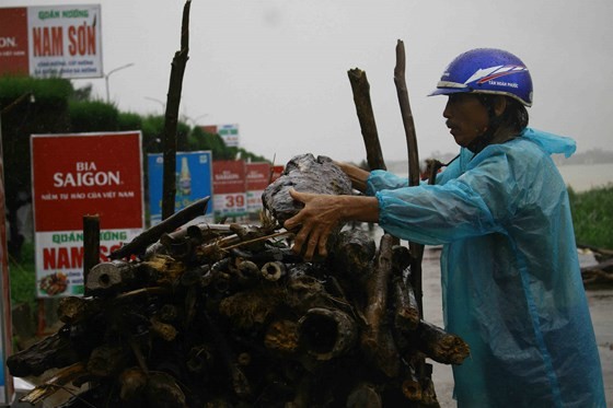 民眾在洪澇中撈起大量木材。