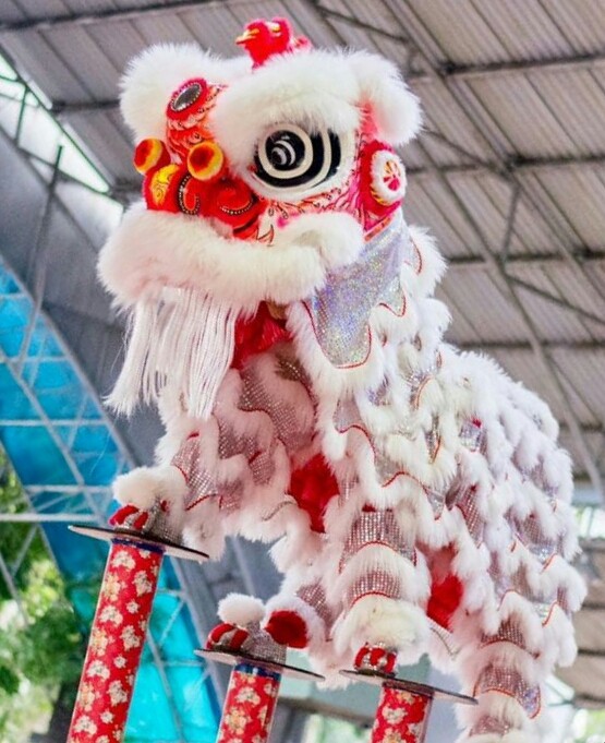 醒獅上梅花椿。