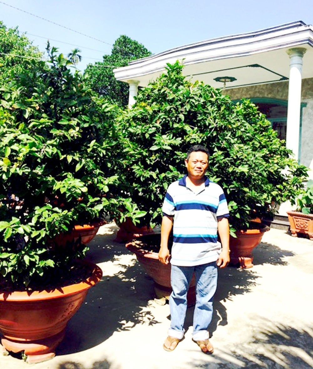 阮文越與他的梅花園。