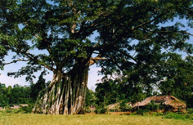 宣光旅遊景點 ảnh 6