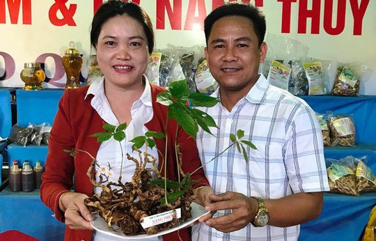 這顆參的購買者是來自廣南省昇平縣。