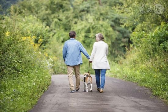 （圖源：互聯網）