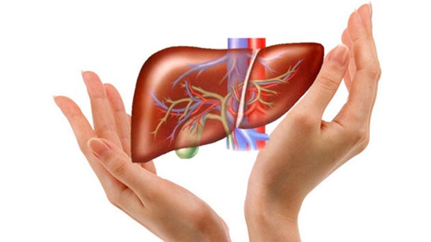 （圖源：互聯網）