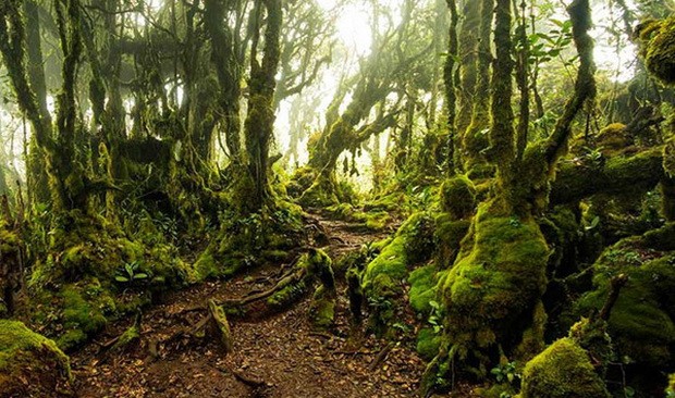 金馬倫－－馬來西亞高原上 “小英國” ảnh 3