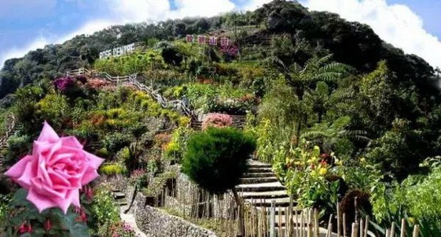 金馬倫－－馬來西亞高原上 “小英國” ảnh 5