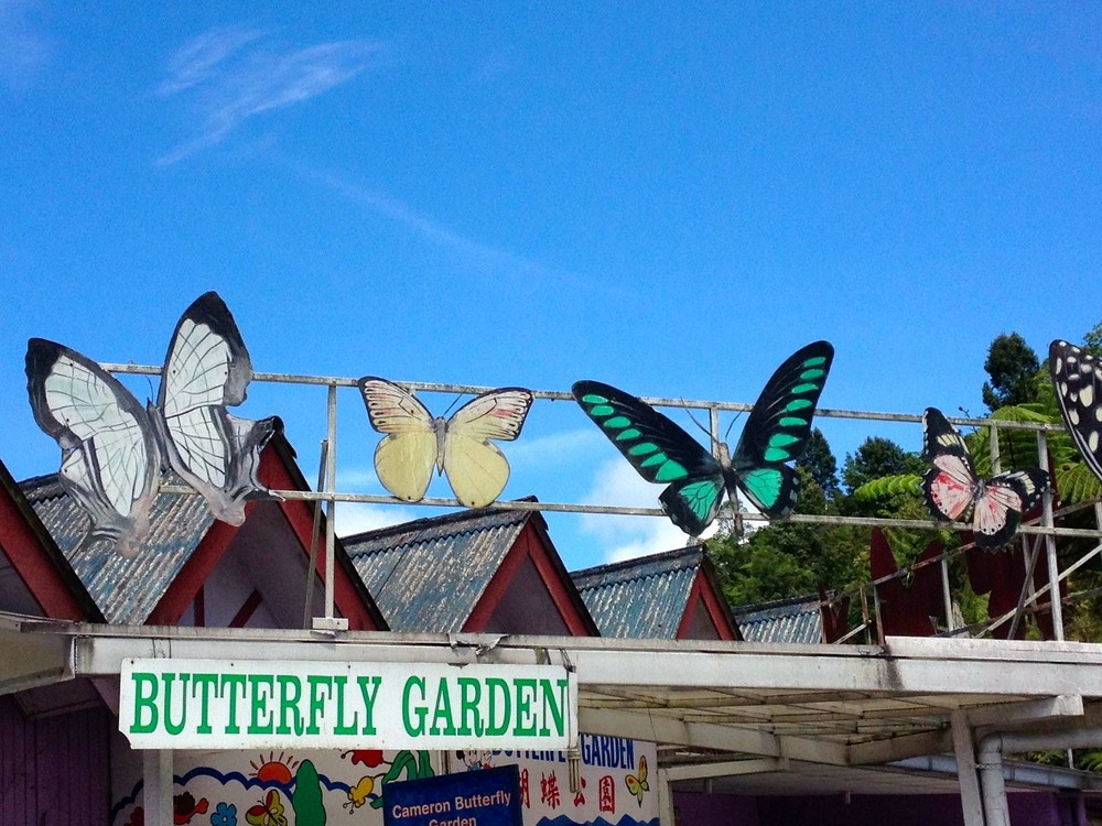 金馬倫－－馬來西亞高原上 “小英國” ảnh 6