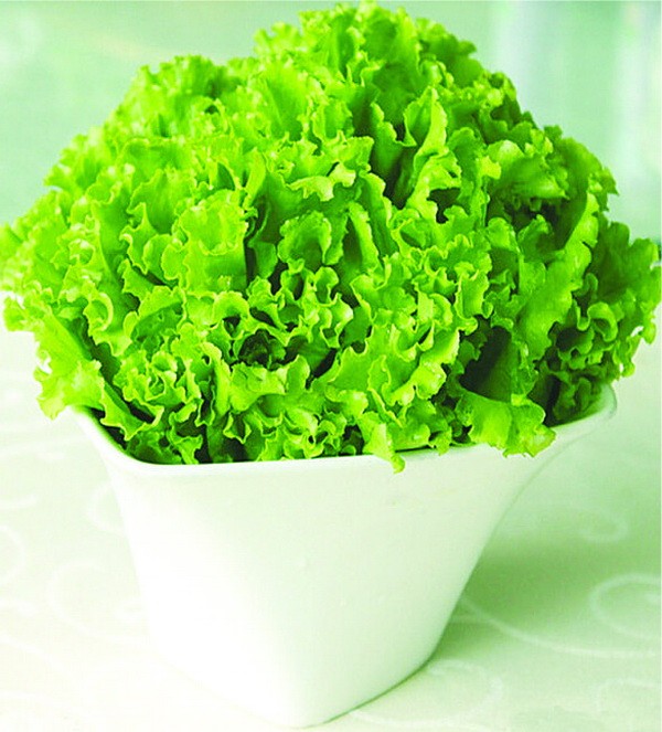 吃什麼東西減肥？ ảnh 1