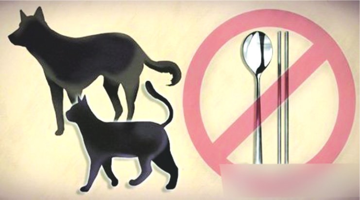 韓青瓦台關注禁食狗肉請願