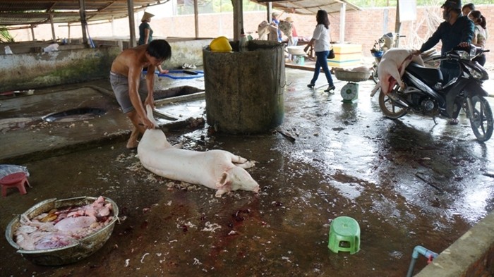 （示意圖源：互聯網。）