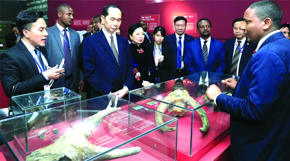 越南重視與埃塞俄比亞推動多方面合作 ảnh 1