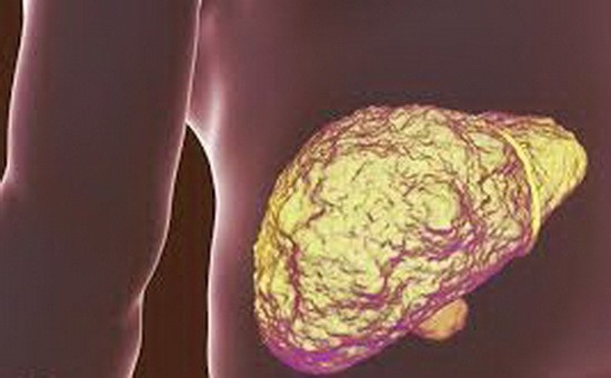 瞭解肝臟5個主要功能