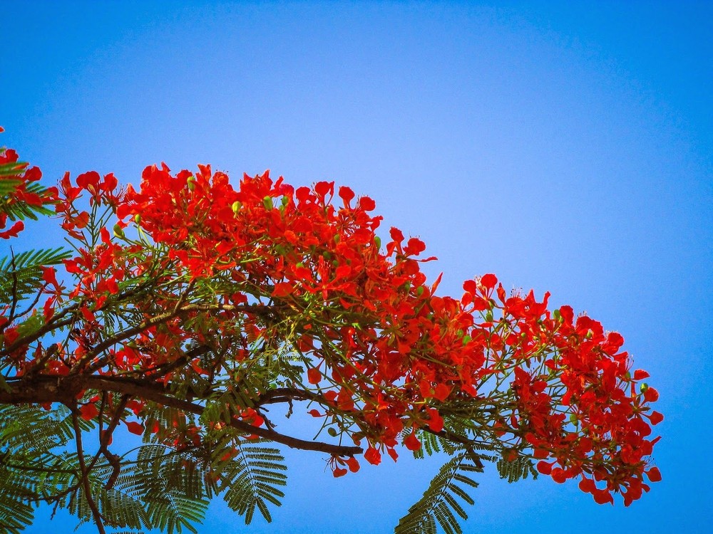 （示意圖源：互聯網）