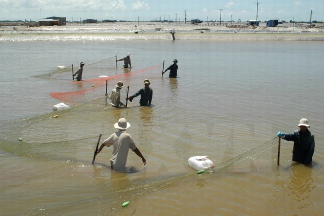 （圖源：互聯網）