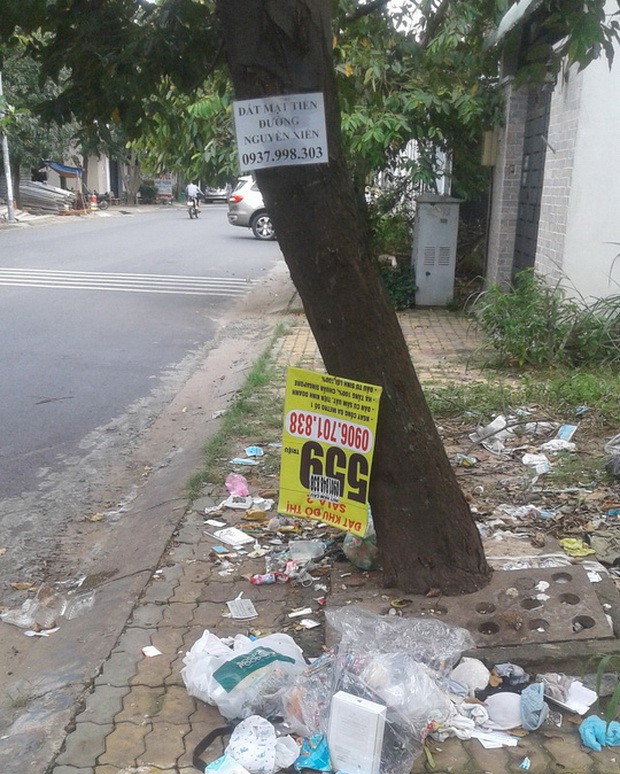 第九郡D2街人行道樹身上掛滿廣告單張。