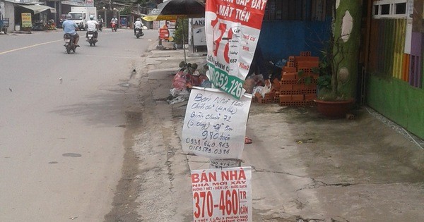 傳單廣告又來襲 ảnh 1