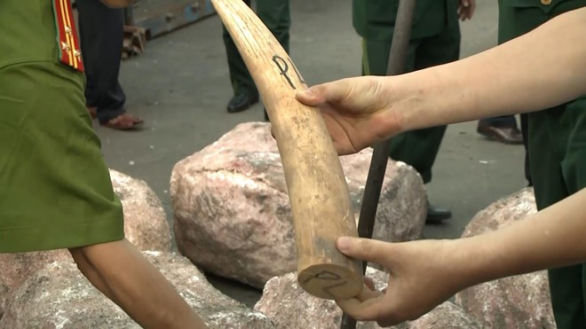 （圖源：互聯網）