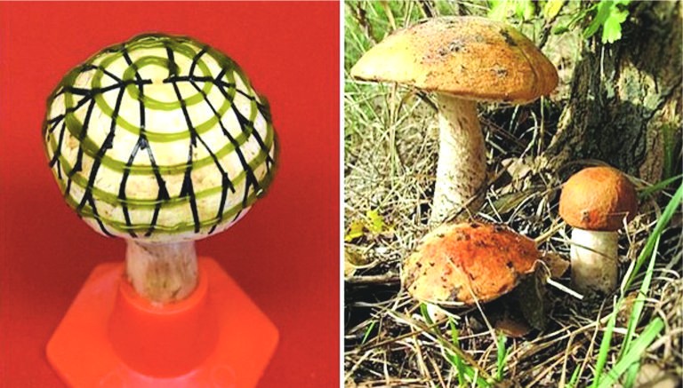 磨姑發電成綠色新能源