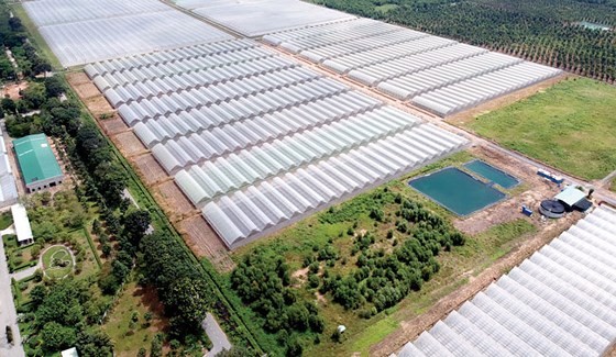 范文蓋鄉的大面積果蔬種植區可以發展成為體驗與野外旅遊。