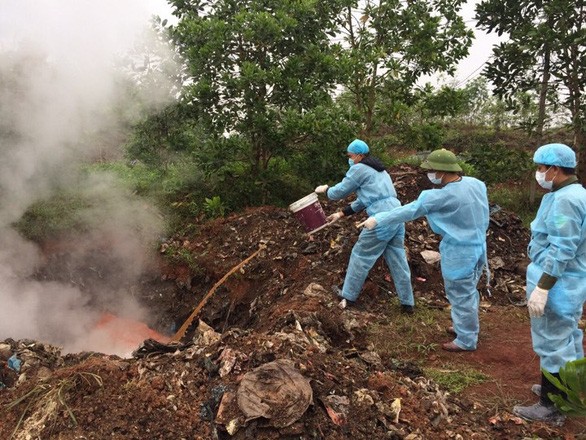 （圖源：互聯網）