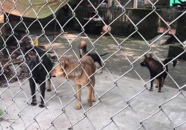 （  圖源：互聯網）