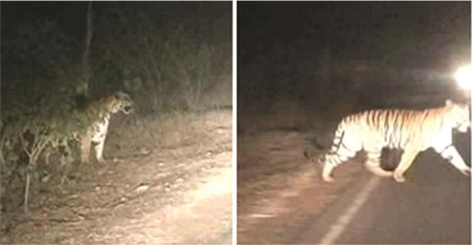 （圖源：互聯網）