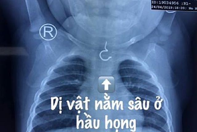 （圖源：互聯網）