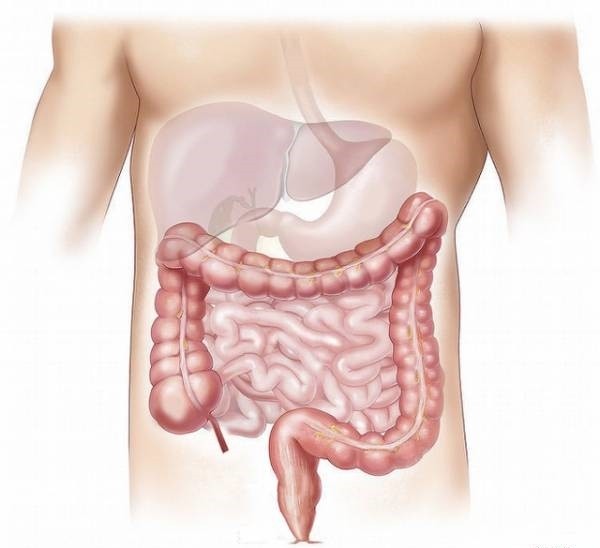 （圖源：互聯網）