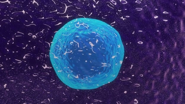 （圖源：互聯網） 