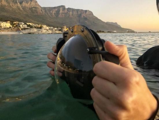 （圖源：互聯網） 