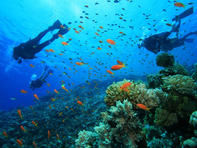 柬埔寨西哈努克城的美麗海灘 ảnh 2