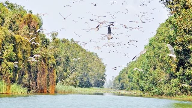 （圖源：互聯網） 