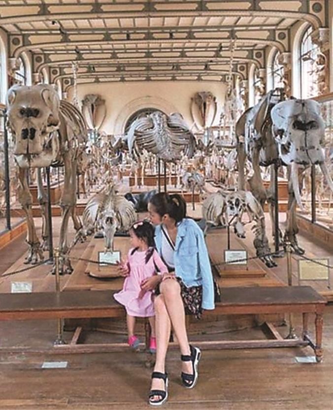 曾清霞：女人40不嬌氣 ảnh 1