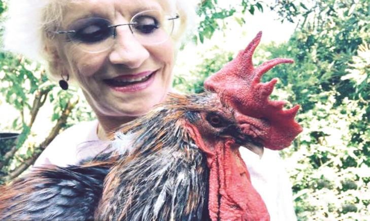 （圖源：互聯網） 