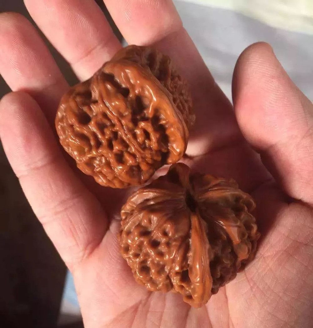 （示意圖源：互聯網） 