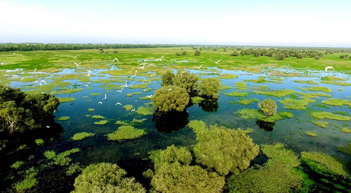 （示意圖源：互聯網） 