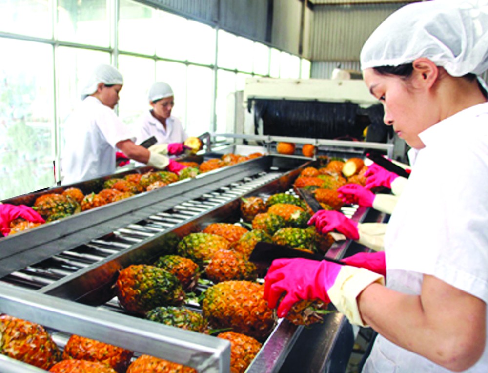 農產品出口生產線。