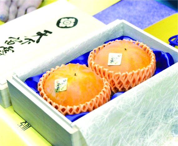 （示意圖源：互聯網） 