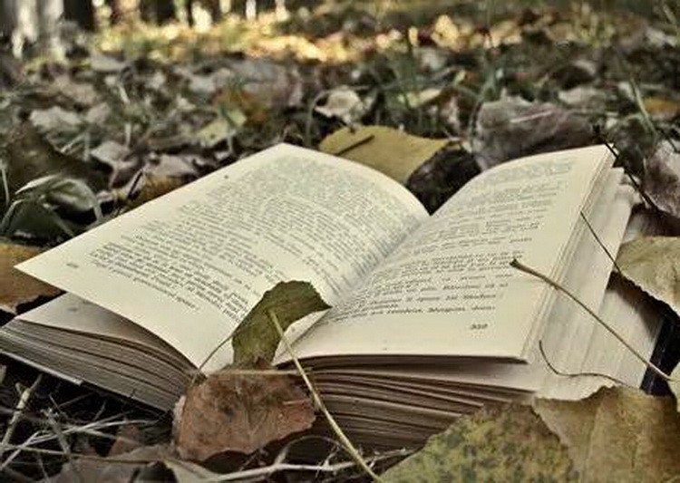 （示意圖源：互聯網）